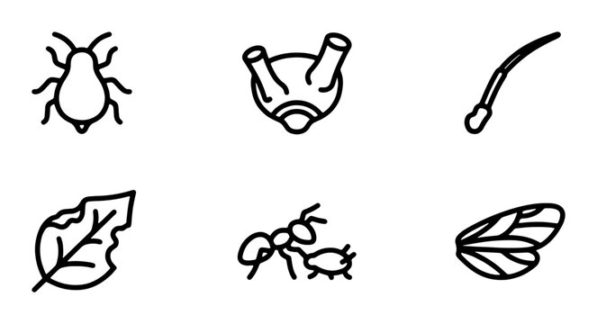 Insect Icons Set, Tiny Pest Vector Graphics, Entomology Symbols, Microscopic Creature Line Art