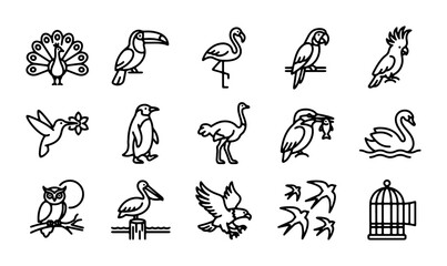 15 Bird Icons: Exotic, Wild, and Domestic Avian Vector Graphics for Nature and Wildlife Themes © Ripa