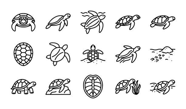 Turtle Icons Set, Sea Creatures Vector Graphics, Marine Reptile Illustrations, Aquatic Animal Symbols