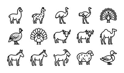 Farm and Exotic Animal Icons: Livestock, Poultry, Camel, Llama, Ostrich, Peacock Vector Set © Moniya
