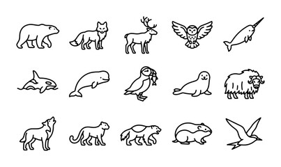 Arctic Animals Vector Icons Set, Wildlife Mammals and Birds Collection, Nature Fauna Graphics © Rajib