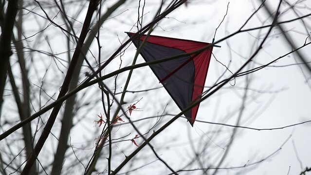Broken kite tangled in bare tree branches against overcast sky.