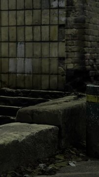 A set of cracked stone steps leads to a worn wall in an old building. The stones show signs of wear. The bricks are missing paint. Some vegetation grows nearby in this urban setting.