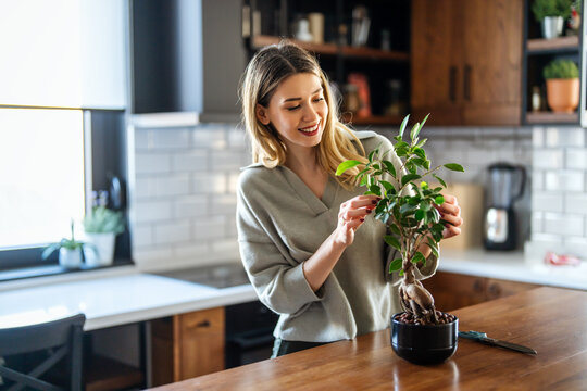 Woman taking care of his houseplants, love for nature and the importance of sustainability at home