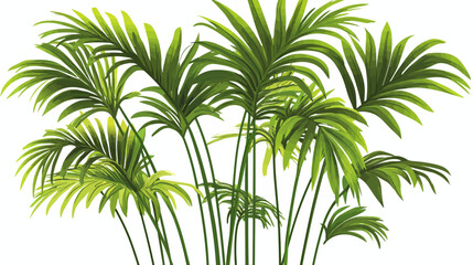 Obraz premium A vivid arrangement of tall palm fronds with slender trunks, lush green foliage