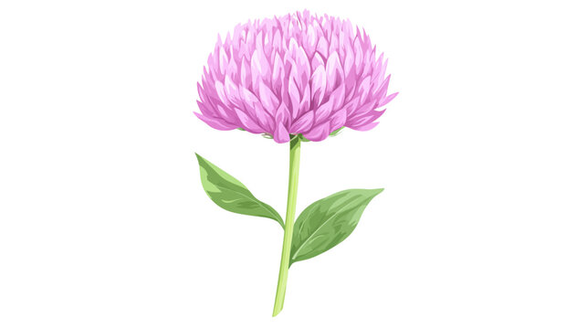 A vivid pink globe flower atop a pale green stem with two leaves. Bright tuft!!