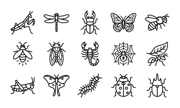 Insect Icons Set, Vector Graphics Collection: Praying Mantis, Dragonfly, Scorpion, Butterfly, Bee, Ant, Ladybug, Grasshopper, Spider, Moth, Beetle, Fly, Centipede, Leaf
