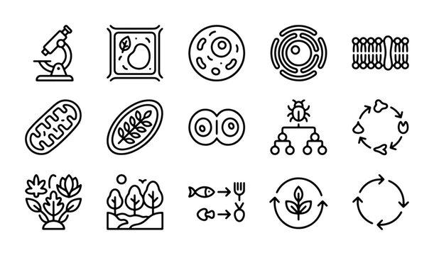 Biology Icons Set: Cell Structures, Life Cycles, Ecosystems, Microscope, Organelles