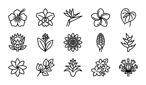 Tropical Flower Icons Set, Exotic Floral Line Art Collection, Botanical Vector Graphics