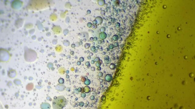 Abstract macro footage of various sized bubbles clustered at a yellow fluid boundary