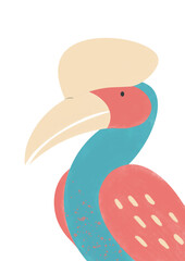 Hornbill Illustration © Ariane