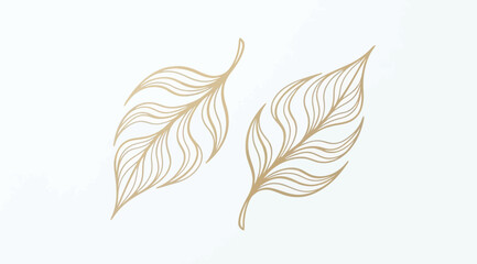 Two elegant golden leaves, hand drawn botanical illustration for wedding invitation or greeting card © Saharia