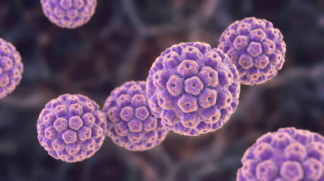 Human Papillomavirus HPV Virus Particles, Medically Accurate 3D Rendering