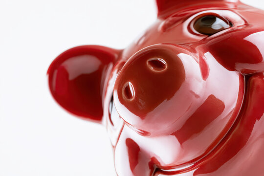 Red lucky piggy bank