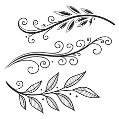 Fototapeta premium floral design elements