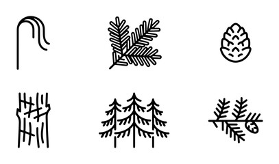 Forest Icons Set: Pine Tree, Fir Branch, Pinecone, Bark Texture, Woodland Elements © Sanim