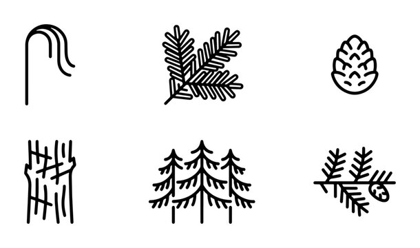 Forest Icons Set: Pine Tree, Fir Branch, Pinecone, Bark Texture, Woodland Elements