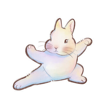 Cute bunny kungfu 