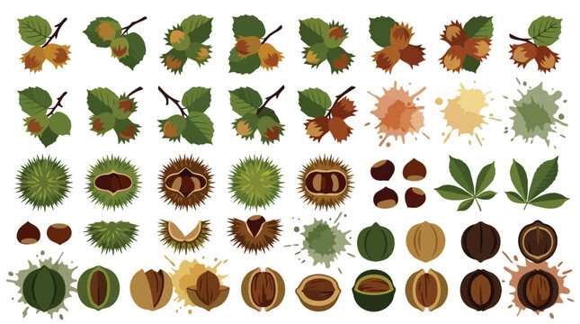 Autumn foliage and acorns vector icon set collection.