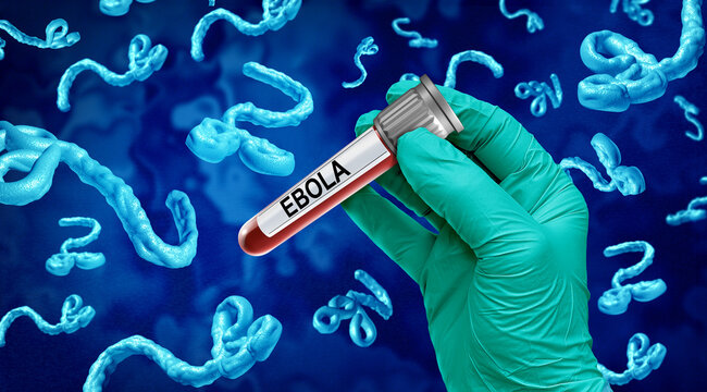 Ebola Health Crisis concept as a virus outbreak blood test diagnosis concept showing a contagious viral infection and deadly pathogen symbolizing epidemic spread.