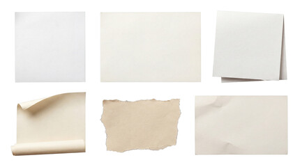 White and beige blank paper cards and rolled sheets © HOAI PHAM