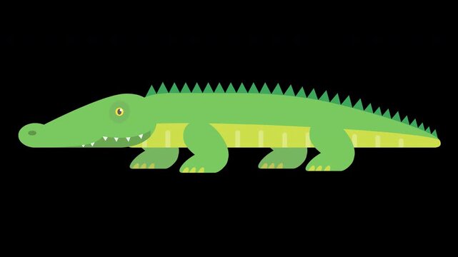 Cute Crocodile Illustration