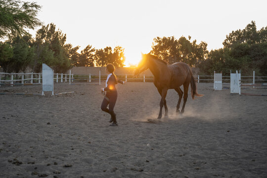 Young girl leading horse through dusty arena at sunset