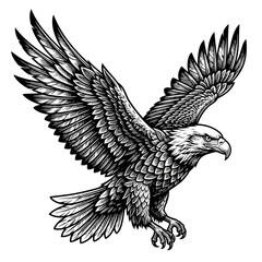Fototapeta premium eagle vector illustration
