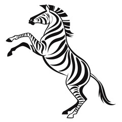 black and white zebra © Md. Mehedi Hasan