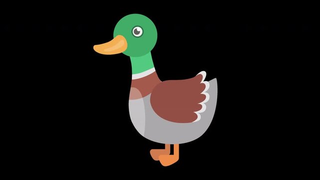 Cute Cartoon Duck Illustration