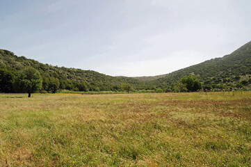 Obraz premium Cultures sur le plateau de Krapi près de Vrysses dans la province de La Canée en Crète