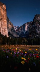 Obraz premium Vibrant meadow full of colorful wildflowers sits before massive granite cliffs under starry night sky. Evergreen trees form dense forest line separating meadow from imposing rock formations.