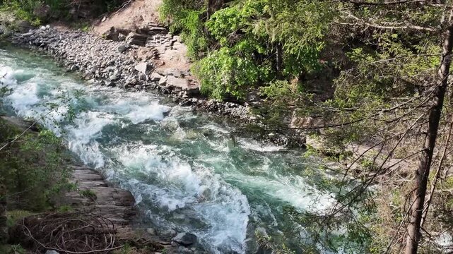 Cogne, Aosta Valley, Italy - River Urtier water flowing among pine trees of the forest. Natural mountain scene at spring time.