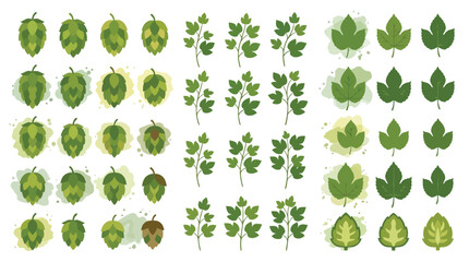 Fototapeta premium Green Leaf Vector Set Pattern with Fresh Botanical Icons.