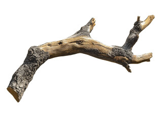 Fototapeta premium Driftwood branch isolated on white background
