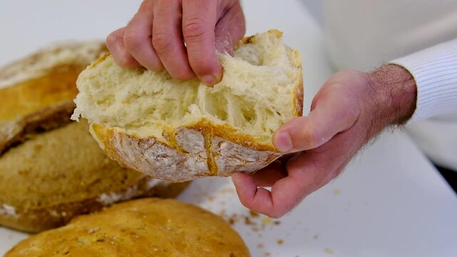 Male hands pulling soft crumb from round white bread loaf with assorted fresh breads in background