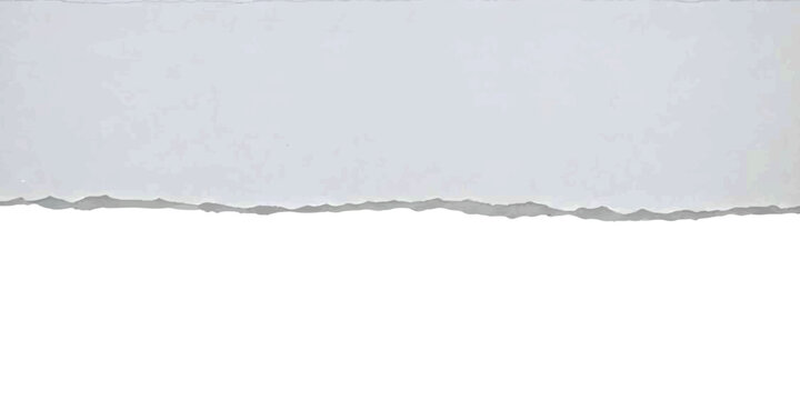 A single piece of white torn paper with a rough edge