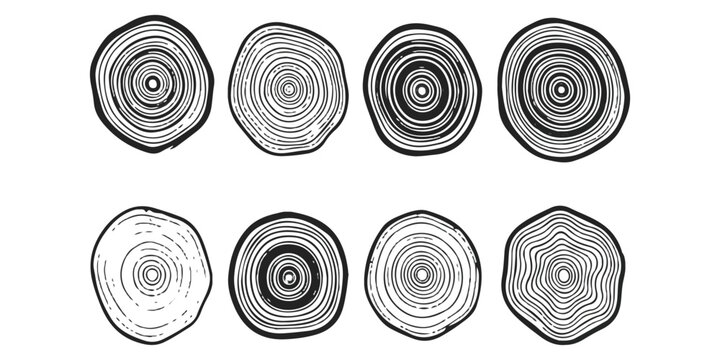 Set of eight hand drawn tree rings cross section illustrations