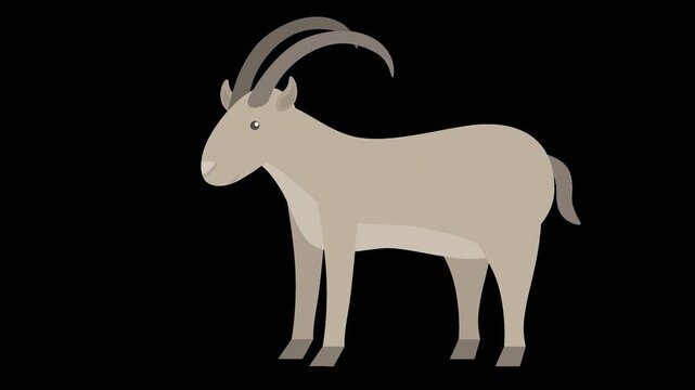 Ibex Standing Proud