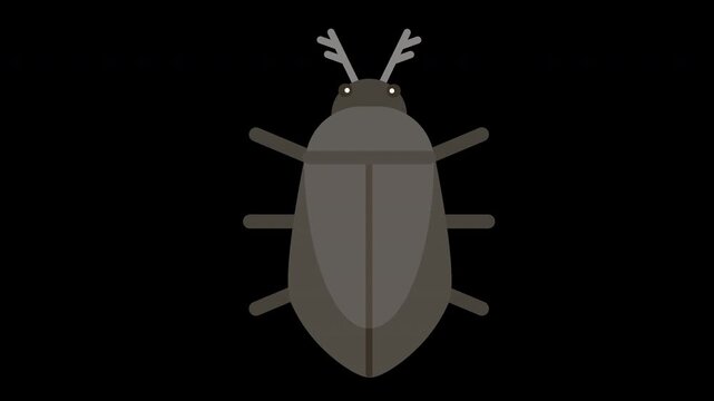 Beetle Icon - Close Up