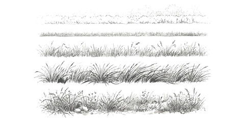 Set of hand drawn grass patches and meadow borders in sketch style ©  Designer