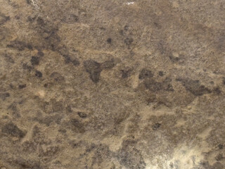 Fototapeta premium texture of sand