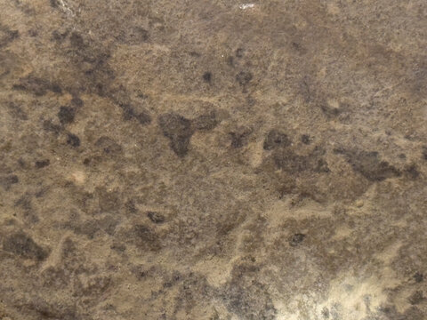 texture of sand