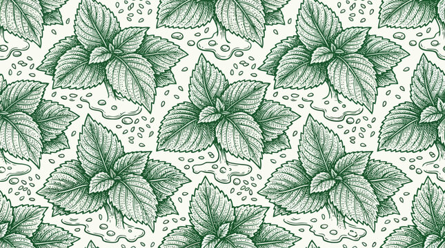 Mint leaf botanical pattern vector illustration seamless.