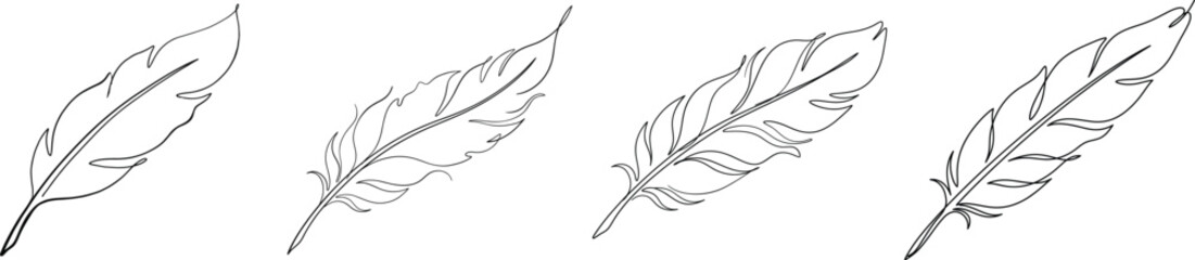 Set of four unique feather line art illustrations © Mitu
