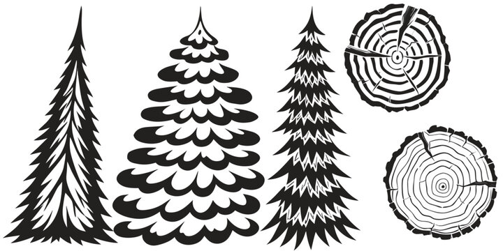Fir tree branches with pine cones isolated on white background Christmas winter holiday decoration vector illustration