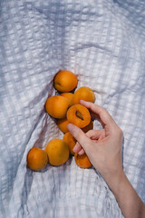 Naklejka premium Vibrant Orange Apricots Resting In The Pocket Of A Woman's Pale Blue Gingham Dress