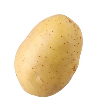 Unpeeled raw potato isolated, transparent PNG, PNG format, single