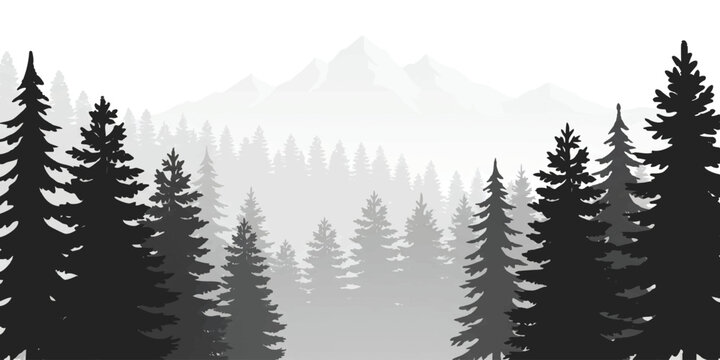 Black and grey silhouette of a dense pine forest with layers of tall evergreen trees in a misty mountain range