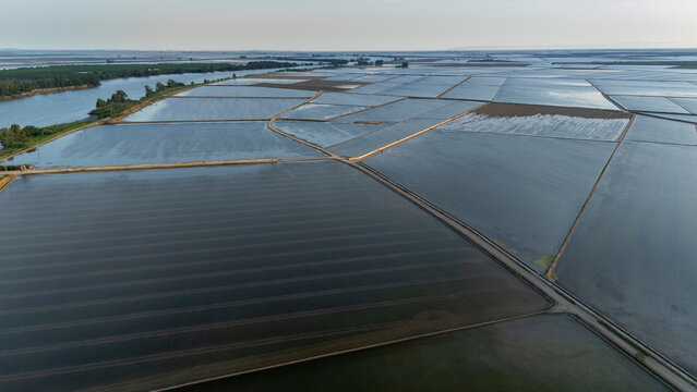 Flooded rice paddies forming geometric patterns La Puebla del Rio, Spain